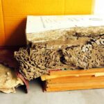 What Are The Signs of Termites – Indication of Termites