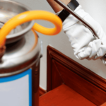 What Are Termite Control Tips? | Zap It