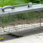 What is Rodent Control?