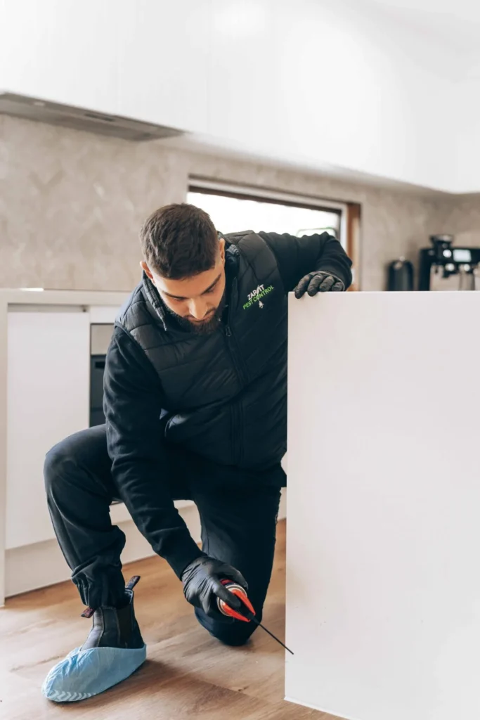 Domestic pest controller in Melbourne providing eco-friendly pest removal services for residential properties, ensuring effective and safe solutions.