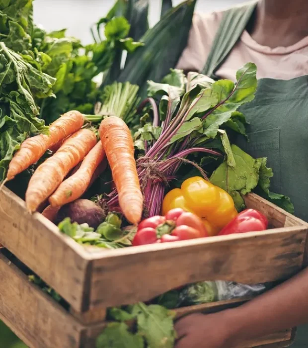 A person in Melbourne holds a crate of fresh vegetables, highlighting pest infestation removal for the food industry.