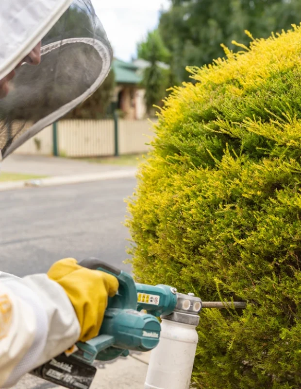 Professional pest control technician treating pest infestation with specialized equipment